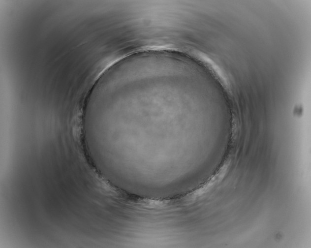 X0000102381361200808151848