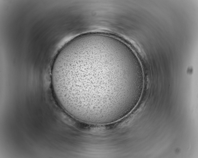 X0000102381363200808151848