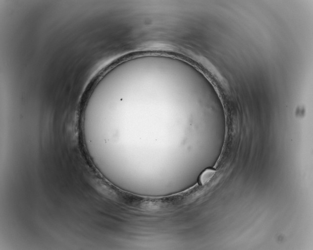 X0000102381364200808151848