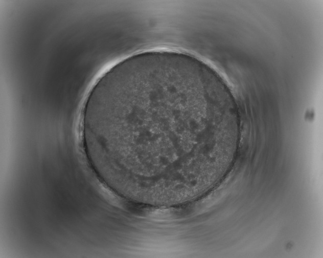 X0000102381367200808151848