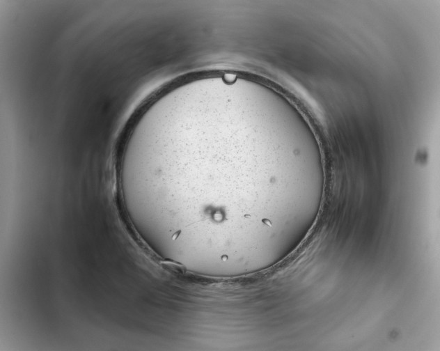 X0000102381368200808151848