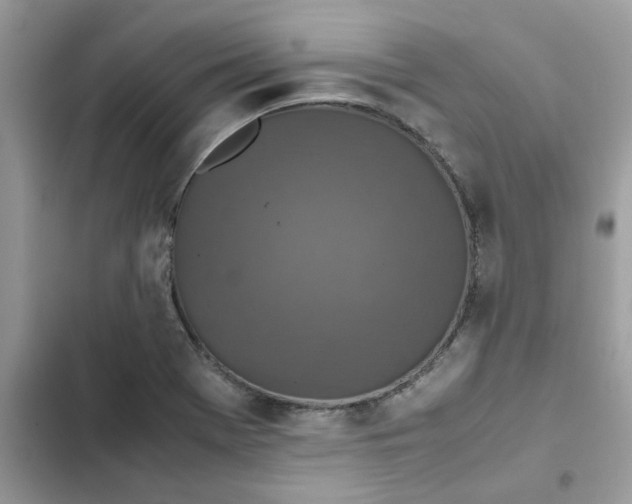 X0000102381369200808151848