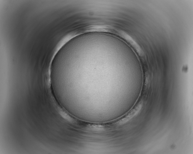 X0000102381370200808151848