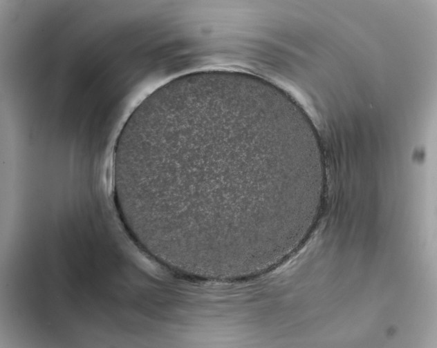 X0000102381371200808151848