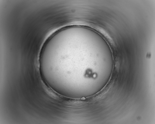 X0000102381372200808151848