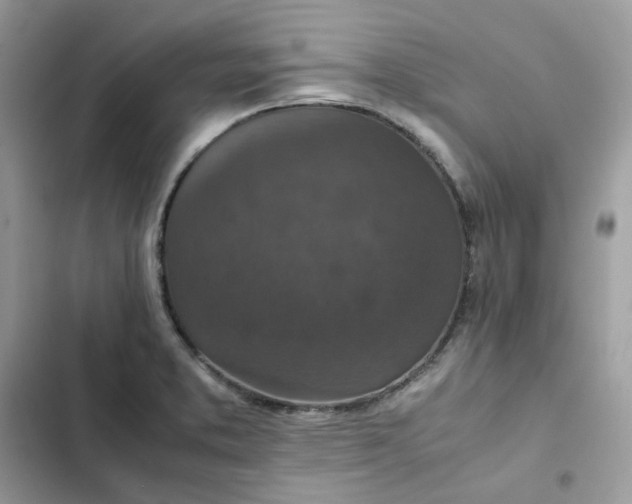 X0000102381373200808151848