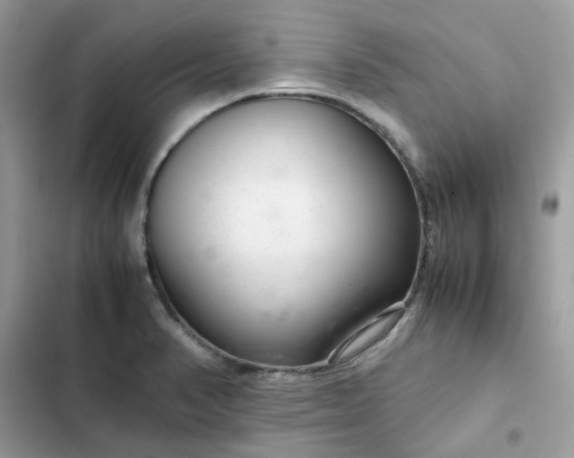 X0000102381374200808151848