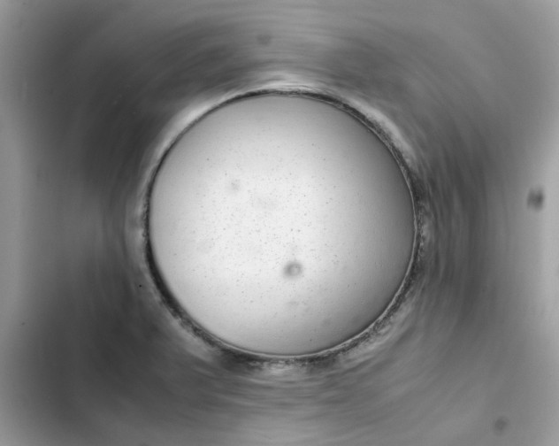 X0000102381375200808151848