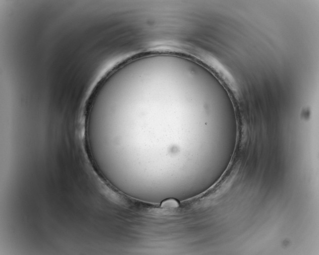 X0000102381376200808151848