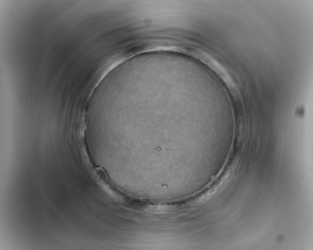 X0000102381377200808151848