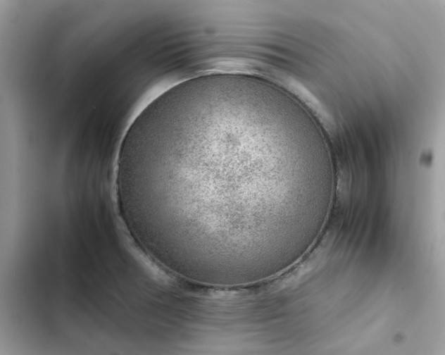 X0000102381378200808151848