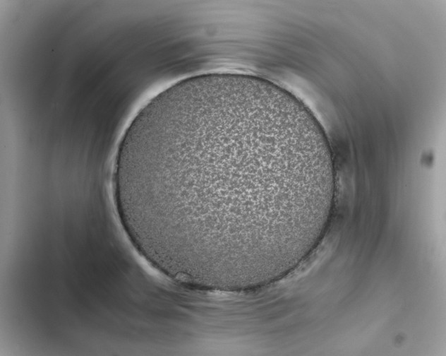 X0000102381379200808151848