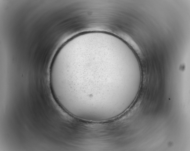 X0000102381380200808151848