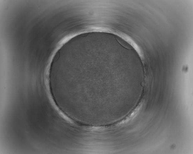 X0000102381381200808151848