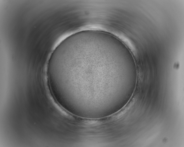 X0000102381382200808151848