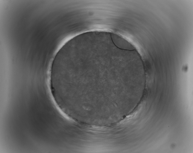 X0000102381383200808151848