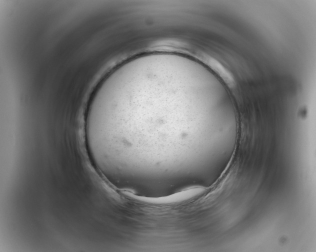 X0000102381384200808151848