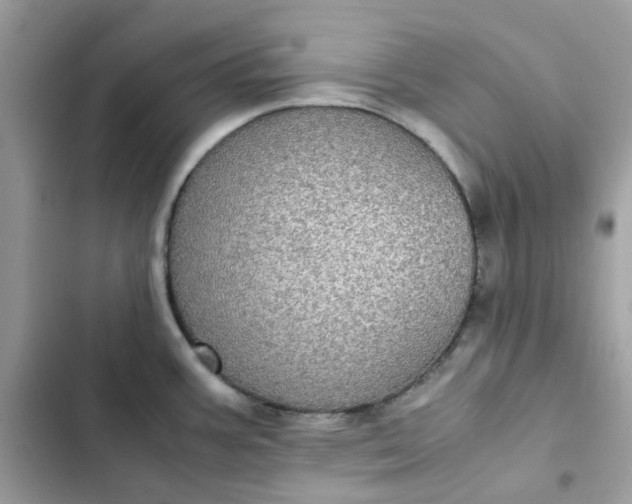 X0000102381387200808151848