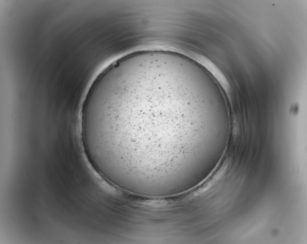 X0000102381388200808151848