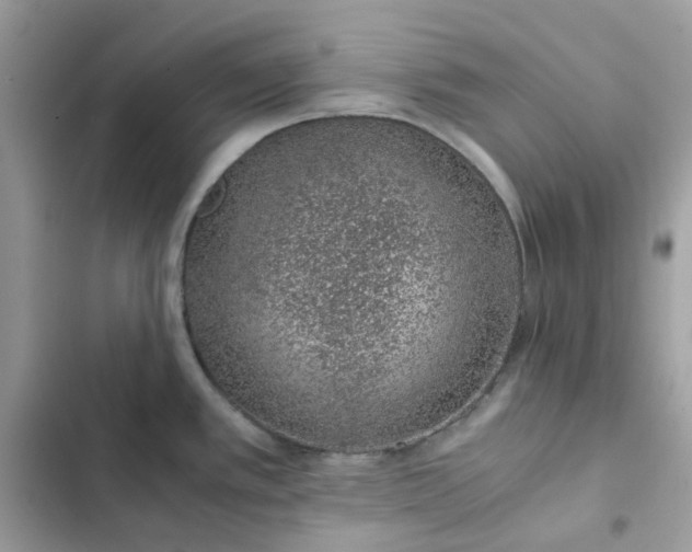 X0000102381389200808151848