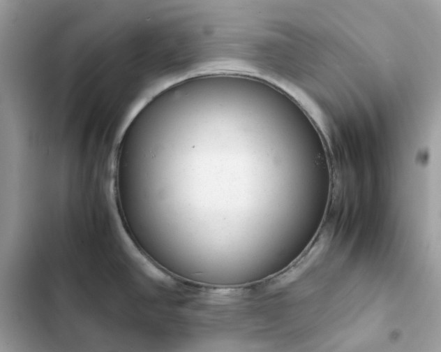 X0000102381390200808151848