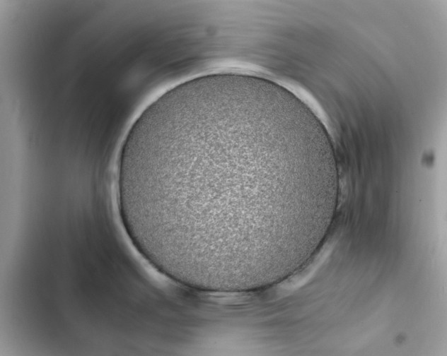 X0000102381391200808151848