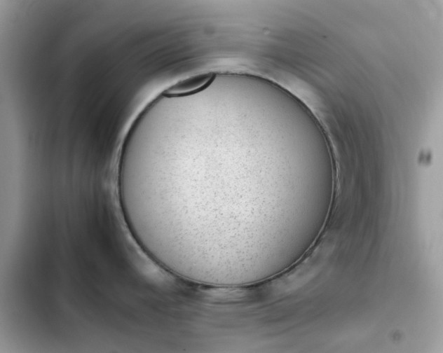 X0000102381392200808151848