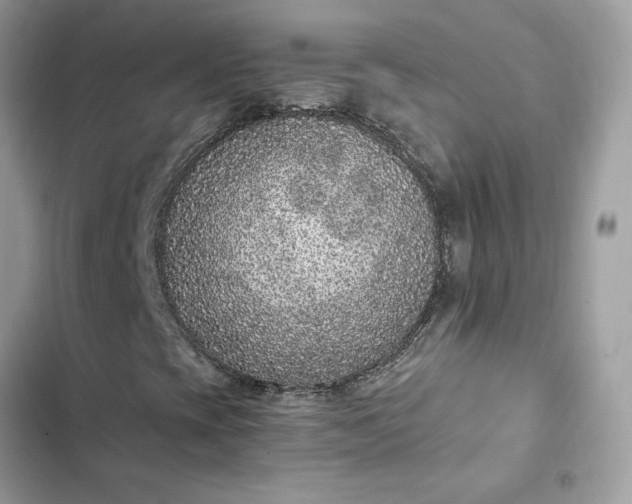 X0000102381393200808151847