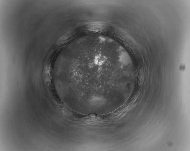 X0000102381394200808151847