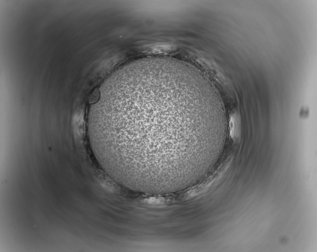 X0000102381395200808151847