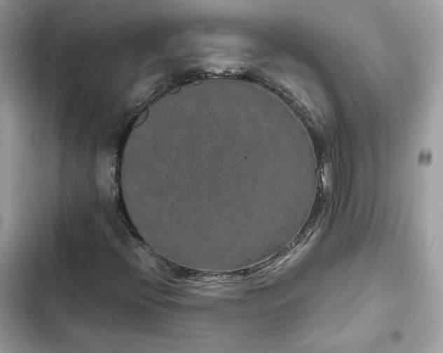 X0000102381396200808151847