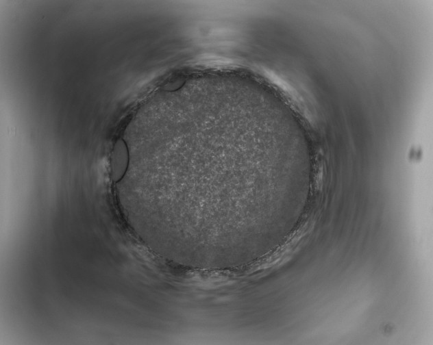 X0000102381397200808151847