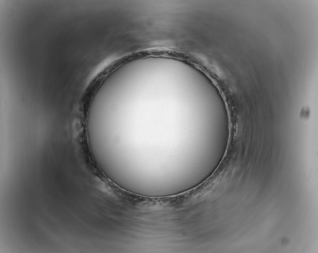 X0000102381400200808151847