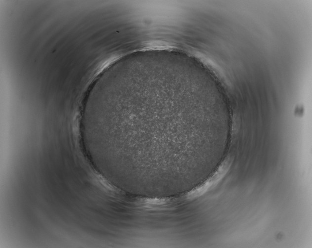 X0000102381401200808151847