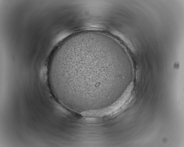 X0000102381402200808151847