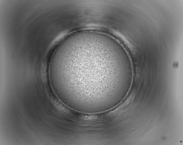 X0000102381403200808151847