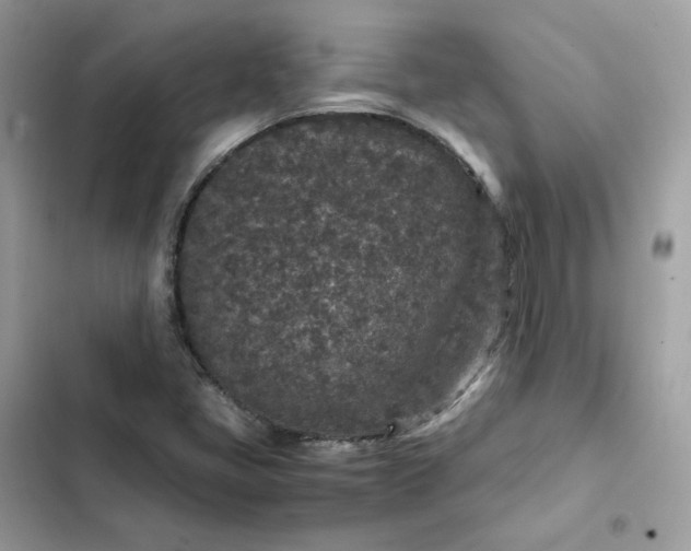 X0000102381405200808151847