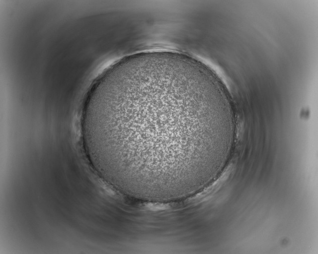 X0000102381407200808151847