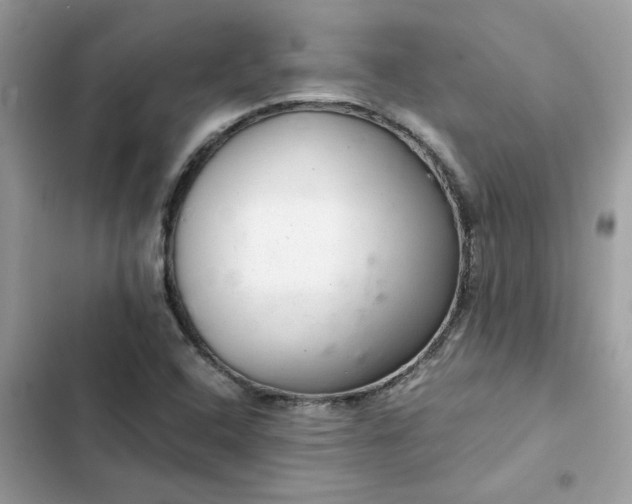 X0000102381408200808151847