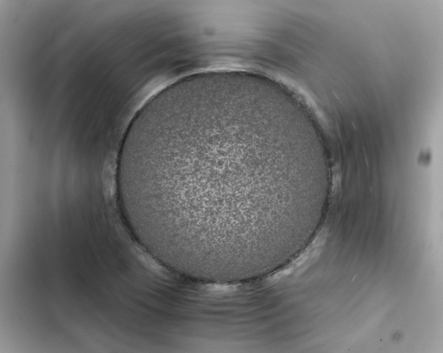 X0000102381409200808151847