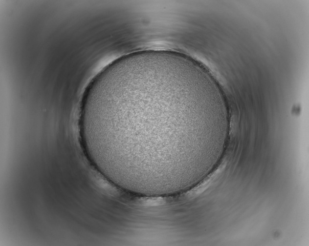 X0000102381410200808151847