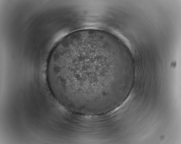 X0000102381411200808151847