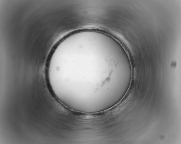 X0000102381412200808151847