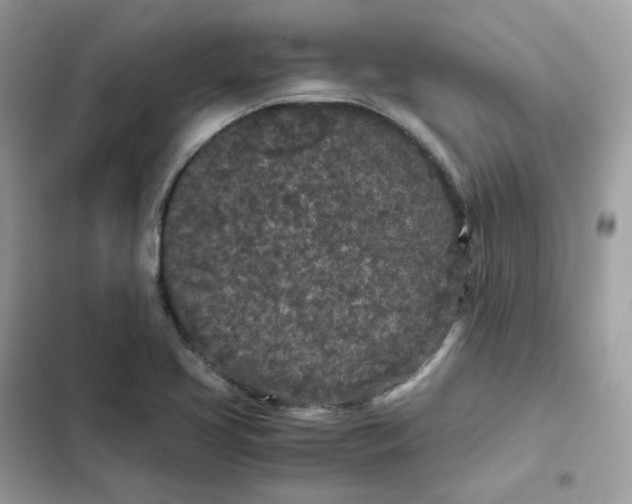 X0000102381413200808151847