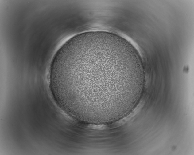 X0000102381415200808151847