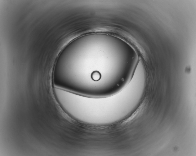 X0000102381417200808151847