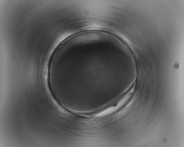 X0000102381418200808151847