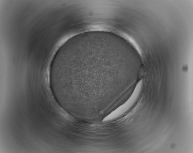 X0000102381419200808151847