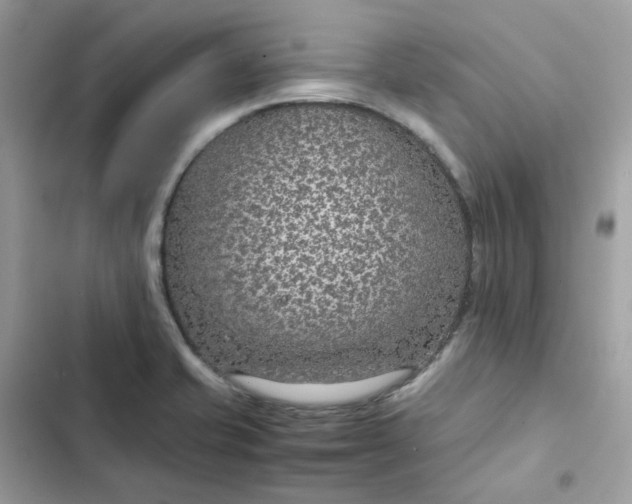 X0000102381421200808151847