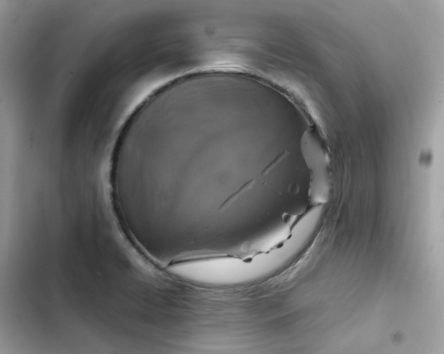 X0000102381422200808151847